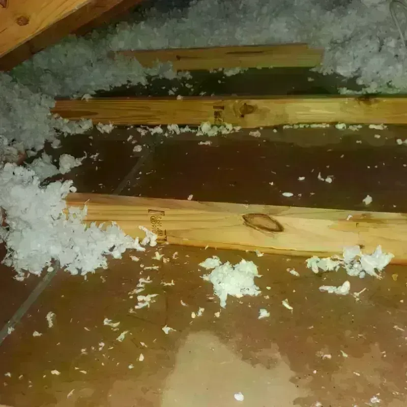 Attic Water Damage in Saratoga, WY