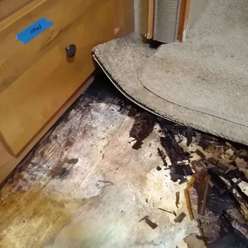 Wood Floor Water Damage in Saratoga, WY